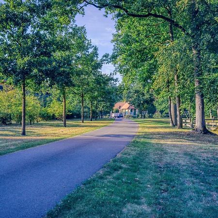 Pferdeparadies Untergruenhagen Bad Fallingbostel Dış mekan fotoğraf