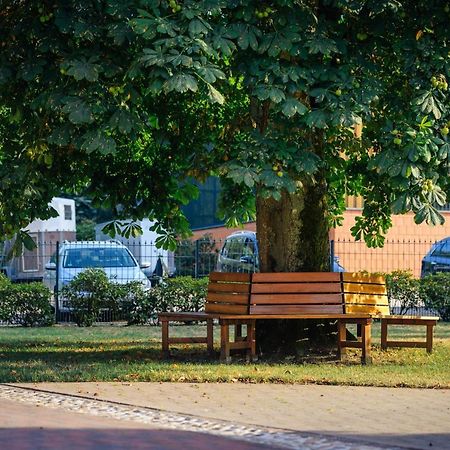 Pferdeparadies Untergruenhagen Bad Fallingbostel Dış mekan fotoğraf