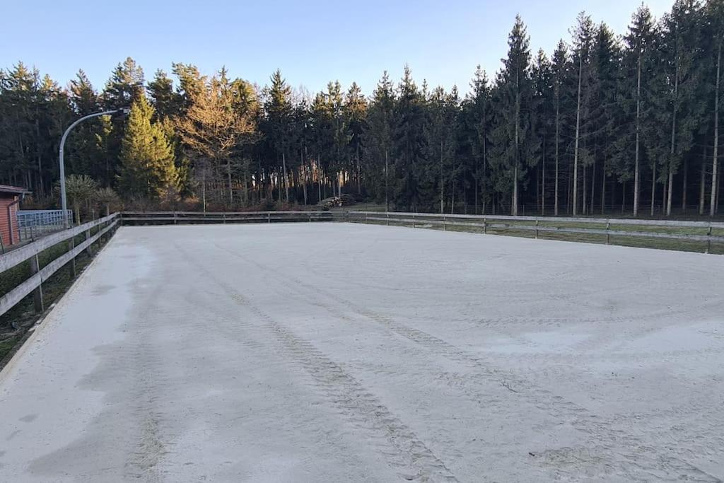 Pferdeparadies Untergruenhagen Bad Fallingbostel Dış mekan fotoğraf