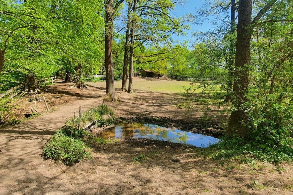 Pferdeparadies Untergruenhagen Bad Fallingbostel Dış mekan fotoğraf