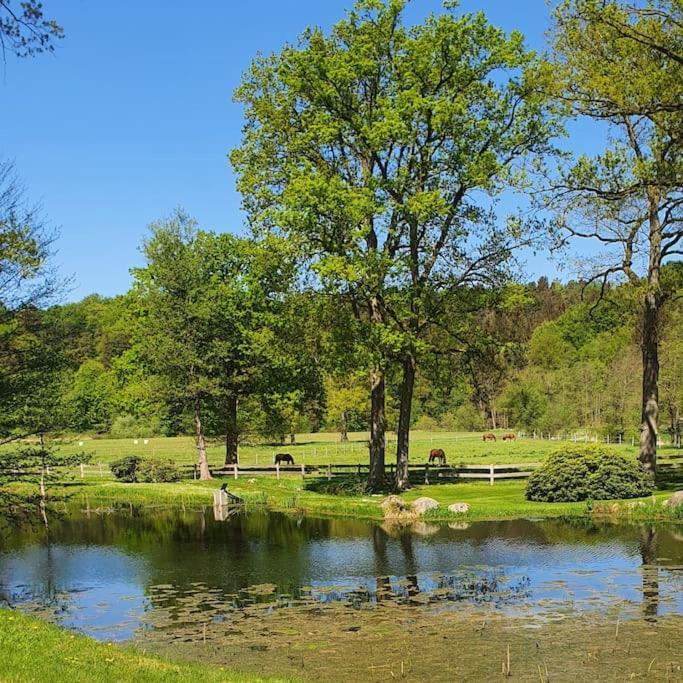 Pferdeparadies Untergruenhagen Bad Fallingbostel Dış mekan fotoğraf