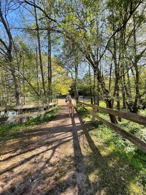 Pferdeparadies Untergruenhagen Bad Fallingbostel Dış mekan fotoğraf