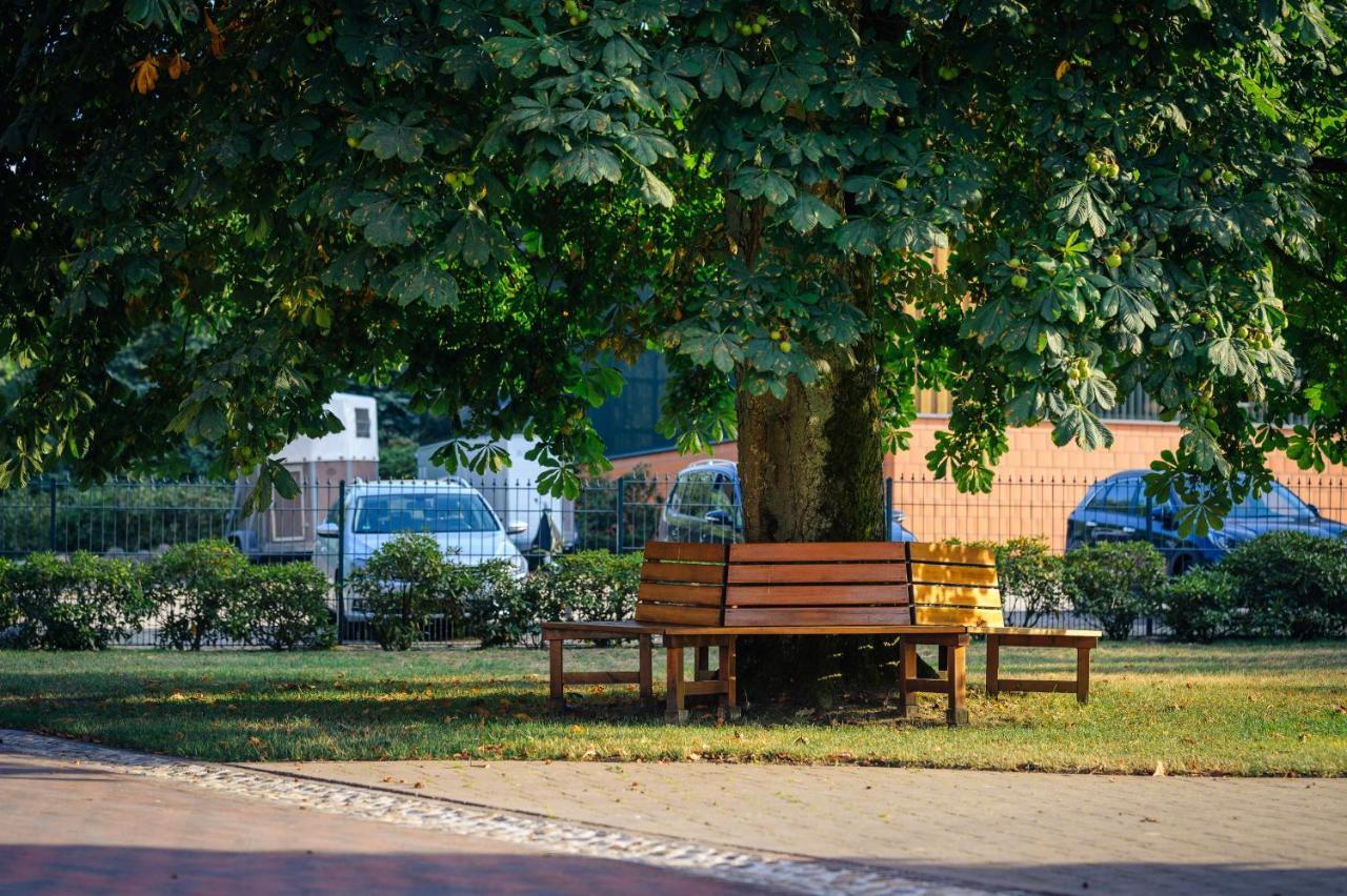 Pferdeparadies Untergruenhagen Bad Fallingbostel Dış mekan fotoğraf